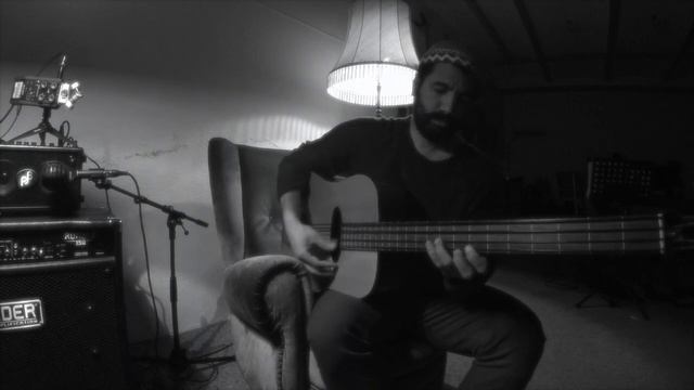 Zoom Q2N-4K Test, Eko Acoustic fretless Bass смотреть онлайн