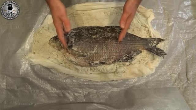 Домашние Животные и Их Уход