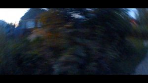 ЖЕСТЬ!!! УЛЕТЕЛИ В КЮВЕТ!!! ДПС гонится за мотоблоком! Покатушки #6