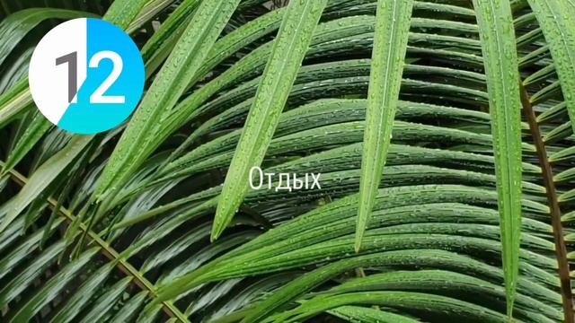КАК БЫСТРО НАКАЧАТЬ ПОПУ И УМЕНЬШИТЬ ТАЛИЮ? Тренировка для круглых ягодиц смотреть онлайн
