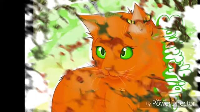 Ежевика и Белка.