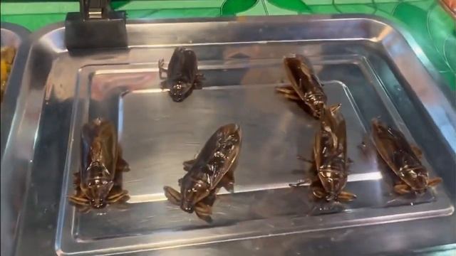 Изготовление тайского мороженого, катание на гидроцикле, отличный отдых. Прогулки Киры по Пхукету. смотреть онлайн