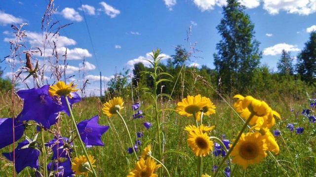 907.♫ Bee Gees «How Deep Is Your Love»,1977(Как глубока твоя любовь) смотреть онлайн