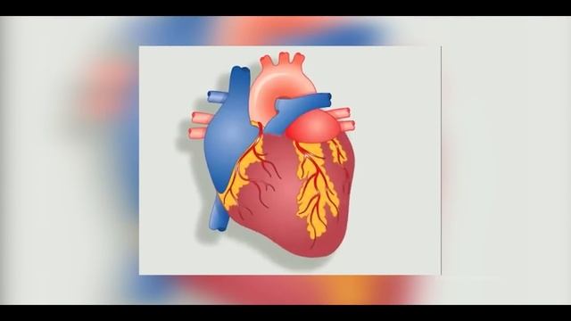 How Heart Pacemaker works? (Urdu/Hindi) смотреть онлайн