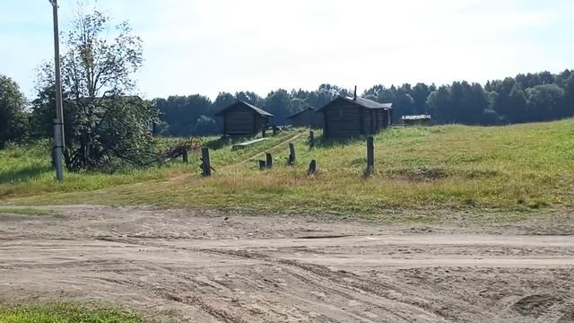Новости с реки. Иду на болото посмотреть есть ли ягоды морошки. смотреть онлайн