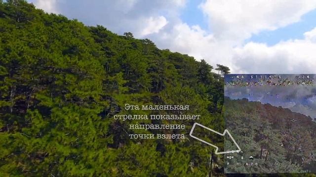 Ялта, Долоссы. Как найти себя в лесу? FPV Drone 4k смотреть онлайн