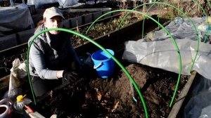 Готовьте грядку под огурцы только так!  Перина для бешеного плодоношения огурцов своими руками