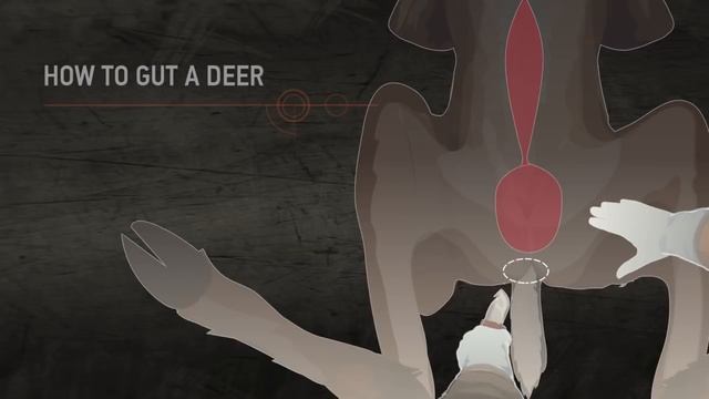HUNTINGsmart! How to Field Dress a Deer смотреть онлайн