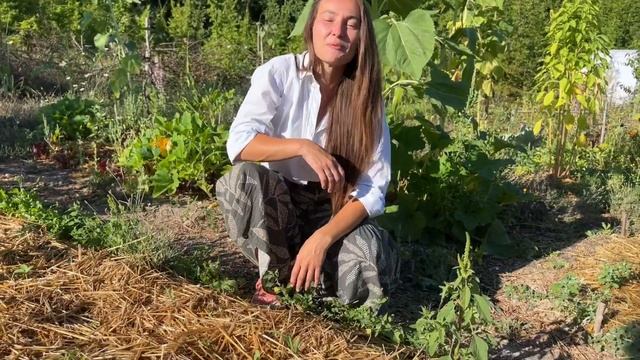 Делаем пермакультурные грядки. Пермакультурный огород часть 4. смотреть онлайн