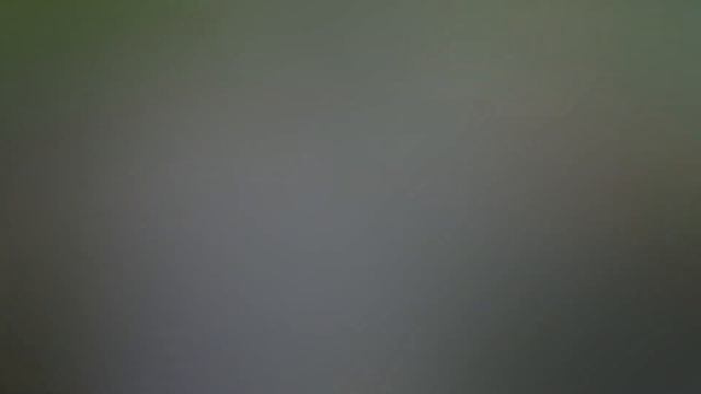 Хариус в июле, поймали и пожарили... смотреть онлайн