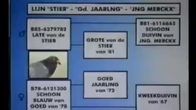 Gebr. Janssen - Part 3