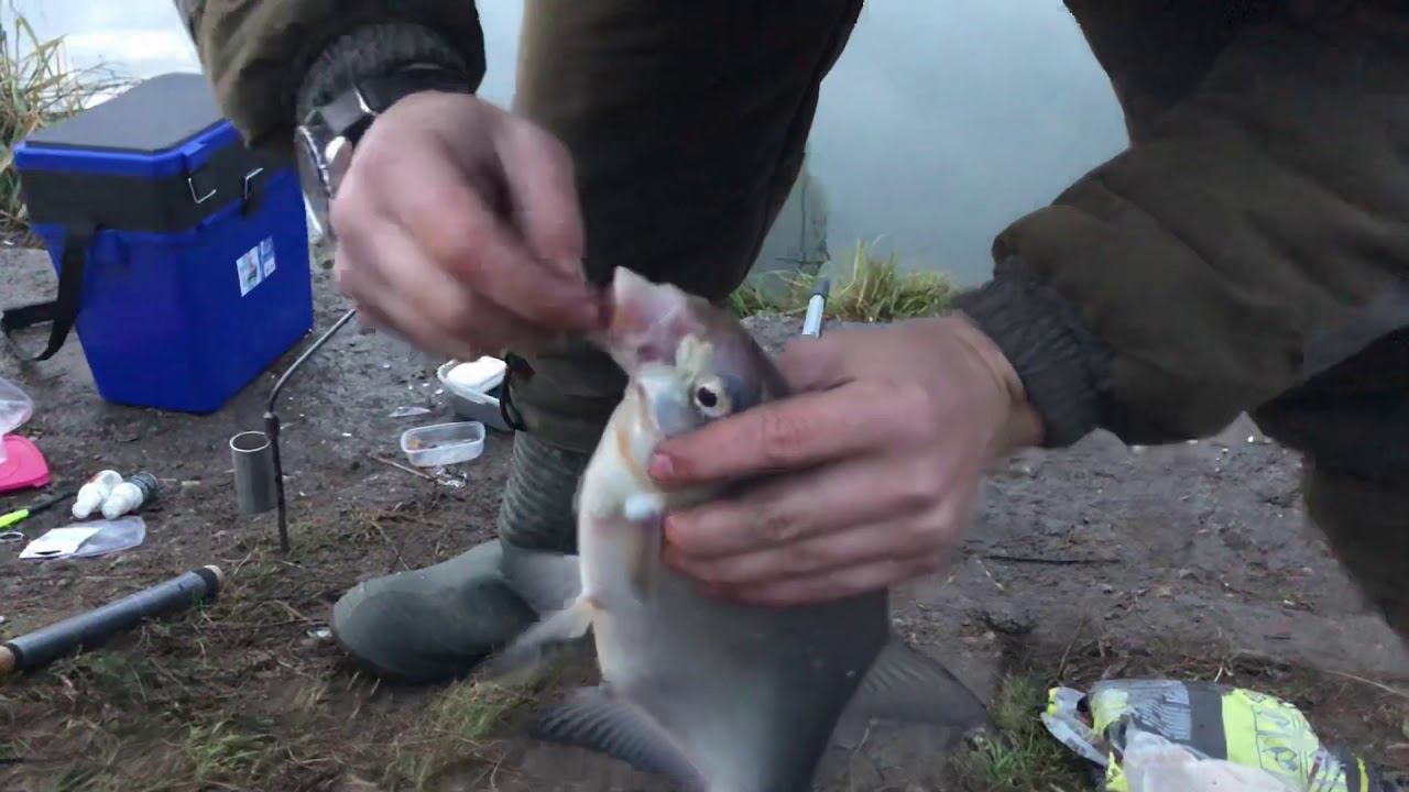 Лещ в ноябре / фидер в ноябре смотреть онлайн