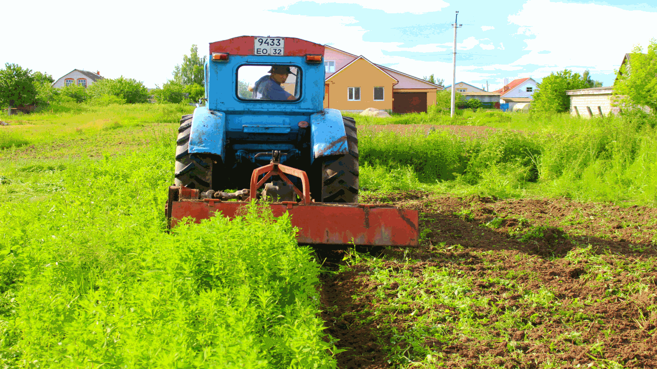 Погибает Всё Живое Фреза 2022 и трактор Т-40! смотреть онлайн