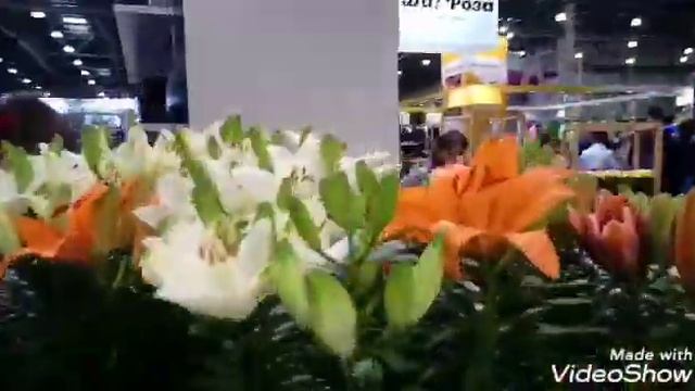 EffectBio на Международной Выставке "Flowers Expo 2019" смотреть онлайн