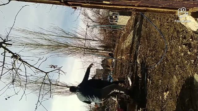 упал тополь с треском? смотреть онлайн