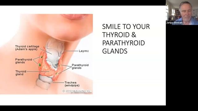 Программа Обучения Сотрудников / Медитация: Внутренняя Улыбка / Джампа Маккензи Стюарт / смотреть онлайн