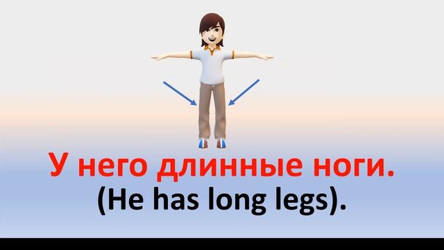РКИ Части тела в русском языке Russian Body Parts смотреть онлайн