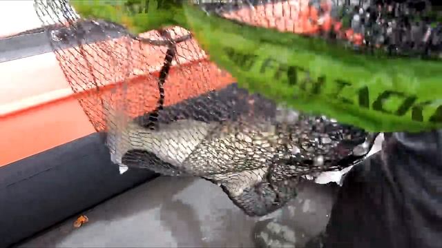 Поиск хищника поздней осенью. Ловля на джиг. Как поймать щуку осенью? смотреть онлайн