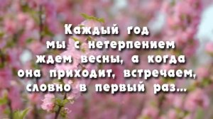 Поздравления с Наврузом!