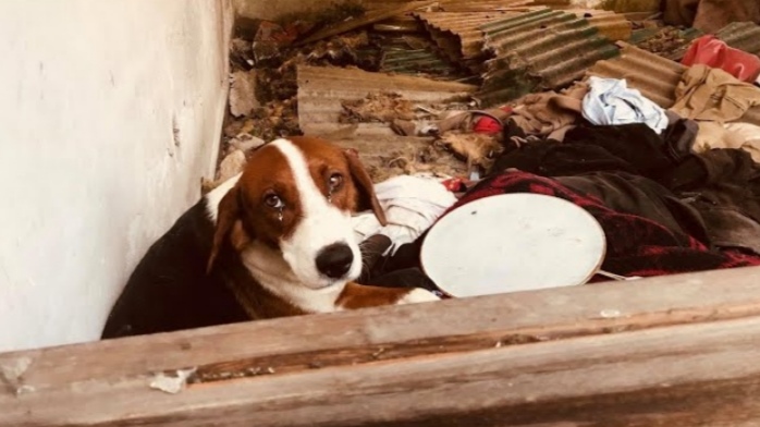 Жизнь рядом