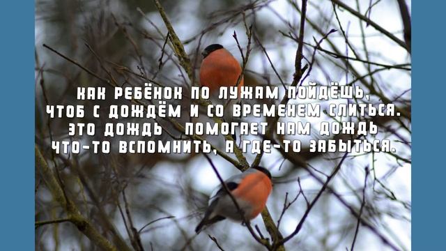 "В объективе и в сердце - весна" виртуальная выставка фоторабот и стихов Василия и Анны Кулаковых смотреть онлайн