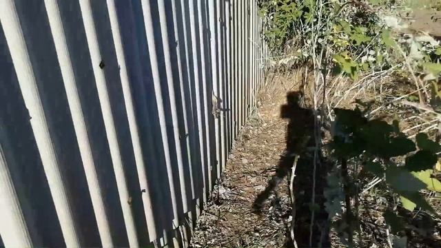 Необычные насекомые на Кубани. Огородные дела. смотреть онлайн