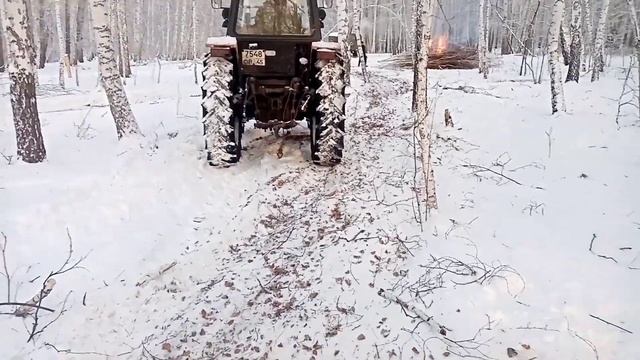 Кончились 6-я скорость на мтз 52. Едем в делянку. смотреть онлайн