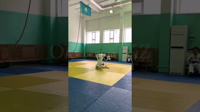 Вручение сертификата о прохождении семинара по дзюдо в г.Павлодар с 11 по 13 декабря, ORTUS.KZ смотреть онлайн