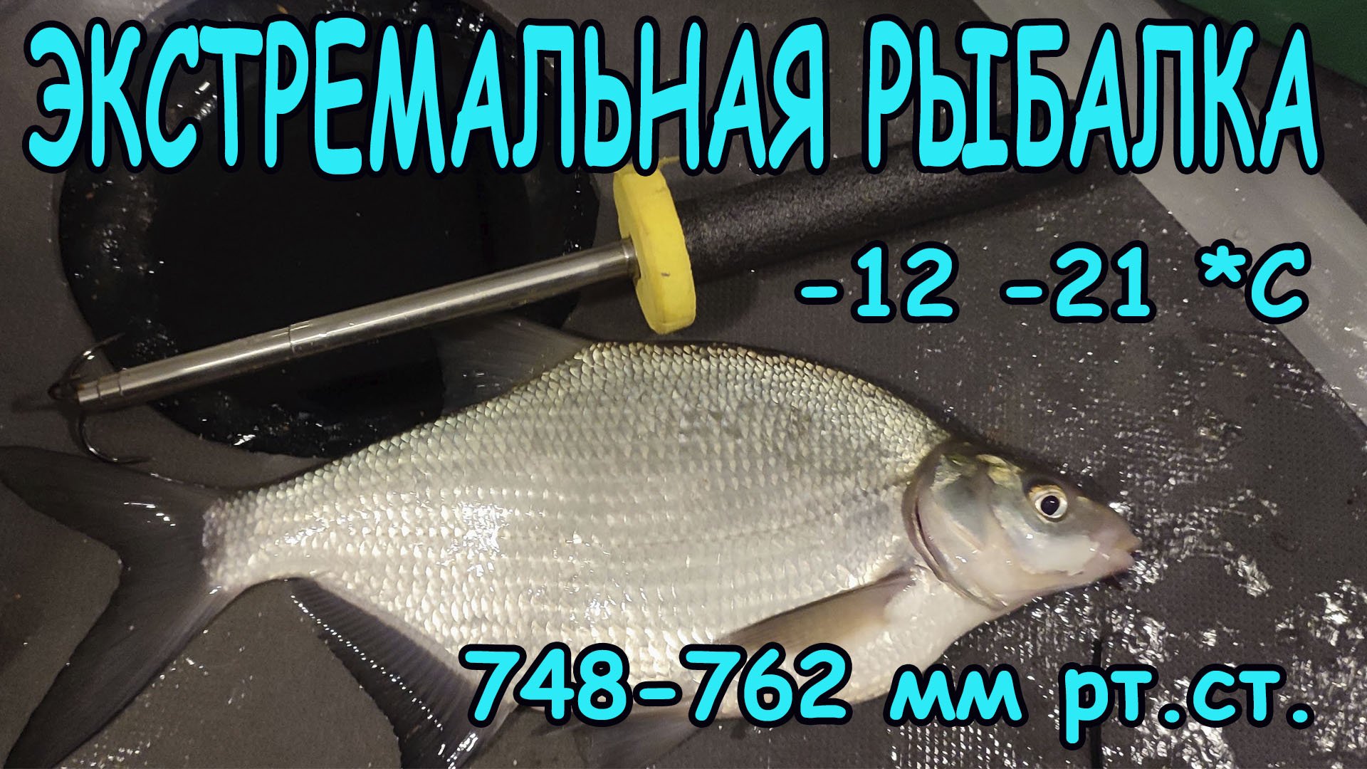 Экстремальная рыбалка на ЛЕЩА в перепад давления и температуры и сильный ветер смотреть онлайн