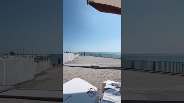 Где нам придётся отстаивать свои права и сражаться? смотреть онлайн