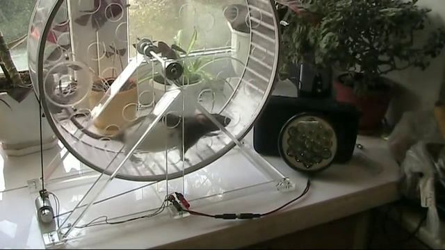 ВЕЧНЫЙ ДВИГАТЕЛЬ БЕСТОПЛИВНЫЙ ГЕНЕРАТОР СВОБОДНОЙ ЭНЕРГИИ!! FREE ENERGY ГЕНЕРАТОР ИГОРЬ БЕЛЕЦКИЙ смотреть онлайн