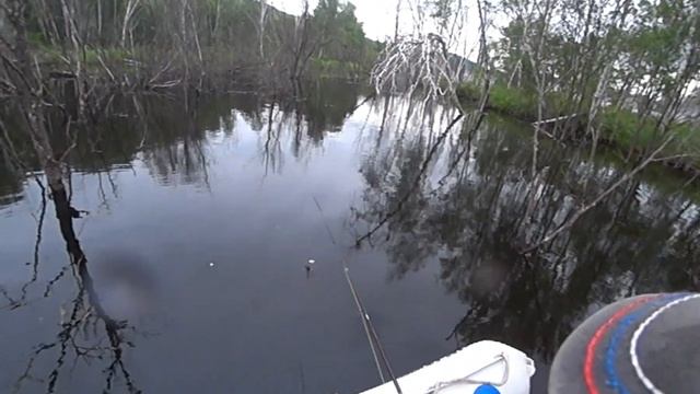 Трофеи затопленного леса. 2