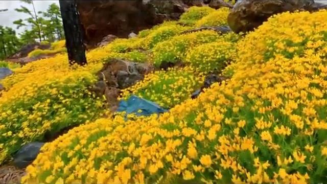 Самое красивое видео про природу.mp4 смотреть онлайн