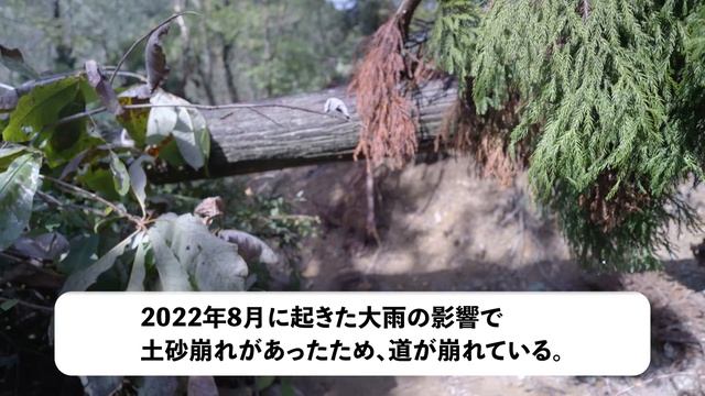 熊が頻繁に出没する誰もいない山奥でジャグジーみたいに吹き出てる天然混浴露天風呂を発見したので1日キャンプしてみた смотреть онлайн