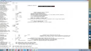 Как сделать бессмертие и бесконечный бег в сталкере