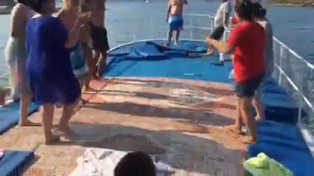 Турецкие народные танцы в средиземном море смотреть онлайн