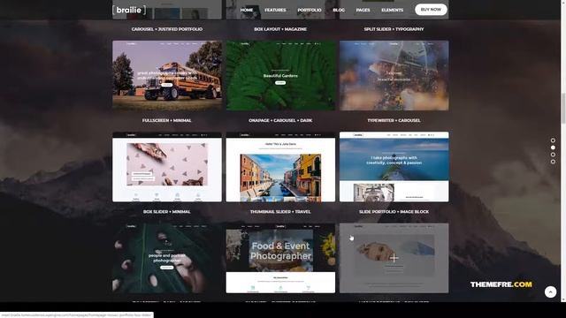 Brailie Responsive Photography WordPress Theme creative photography template Tina смотреть онлайн