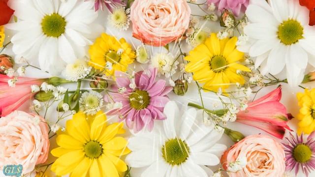 С днем рождения подруга Красивые поздравления подруге Лучшая Видео открытка с днем рождения подружк смотреть онлайн