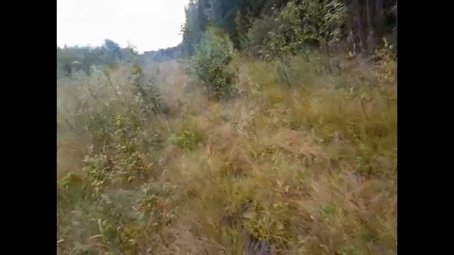 Рыбалка закончилась так и не начавшись смотреть онлайн