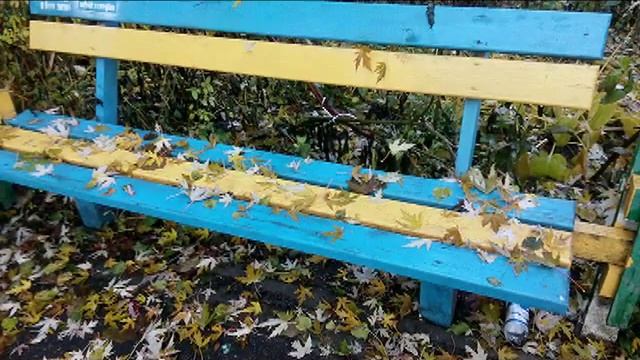 Новая осень 04 nov 2016 no snow смотреть онлайн