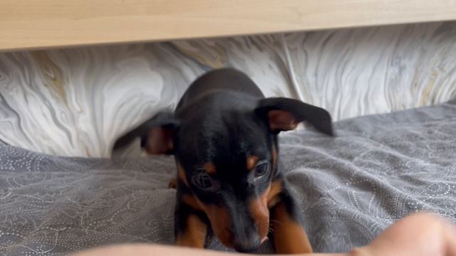 26-05-2024 смотреть онлайн