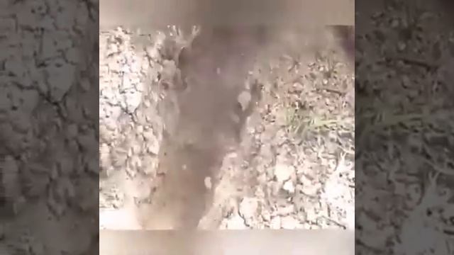 Необычная рыбалка. смотреть онлайн