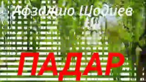 Афзалшо Шодиев 2021 - ПАДАР