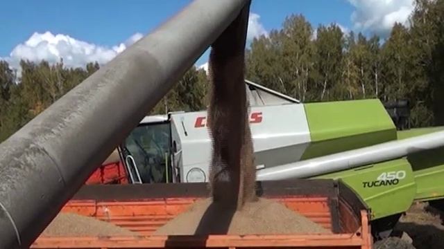 Уборочная кАмпания смотреть онлайн