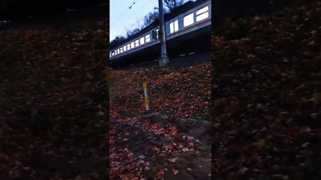 Вечерняя электричка уходит в темноту/ evening train goes into the dark #train #dark #night #goodday смотреть онлайн