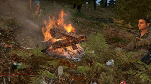 DayZ Standalone. Посиделки у костра. (выпуск 1; часть 1) смотреть онлайн