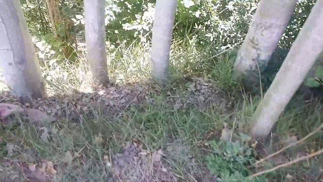 просто так смотреть онлайн