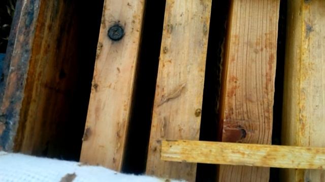 Пчеловодство 19 ноября 2018г Лёгкое утепление семей смотреть онлайн