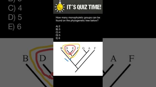 Phylogenetic tree quiz смотреть онлайн