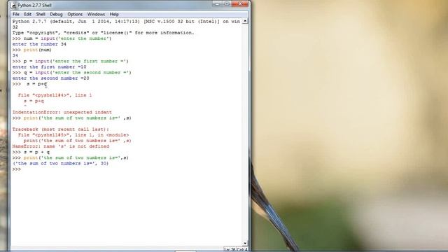 Input() function in Python(both shell and script mode) смотреть онлайн